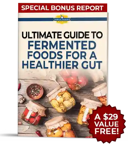 Bellyflush free bonus guide: The Ultimate Guide To Fermented Foods For A Healthier Gut