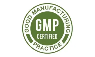 Bellyflush GMP certified manufacturing badge for pharmaceutical-grade quality